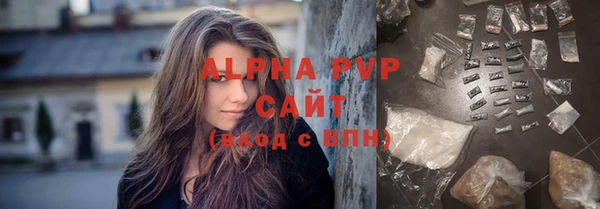 СК Белокуриха