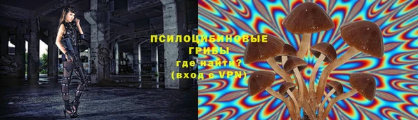 СК Белокуриха